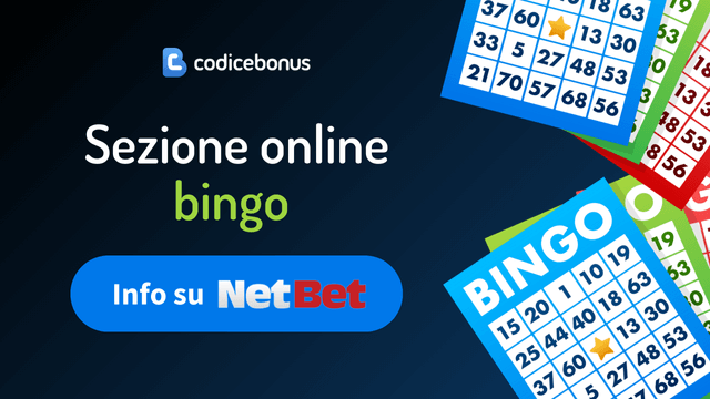 vincite bingo online